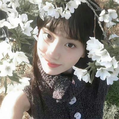 文明的崛起 第一季