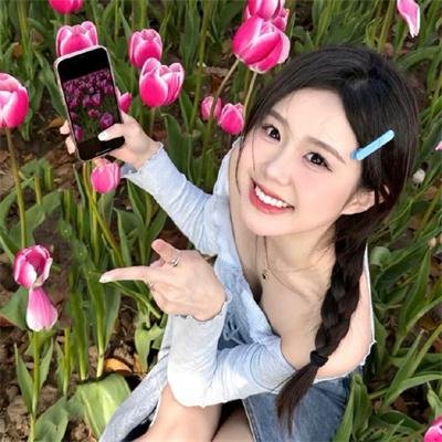 完美的旋律